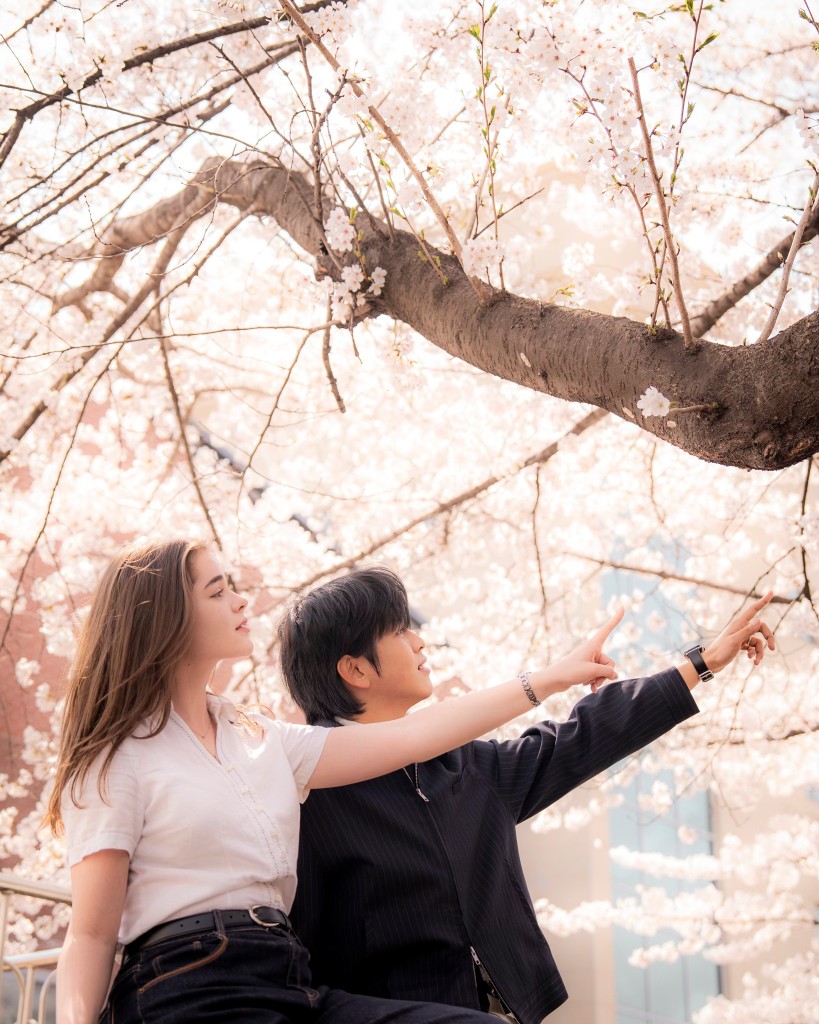 Kỷ niệm học đường — sinh viên dưới hoa anh đào tại campus Hàn Quốc