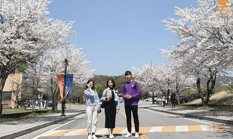 Điều kiện du học Hàn Quốc 2026