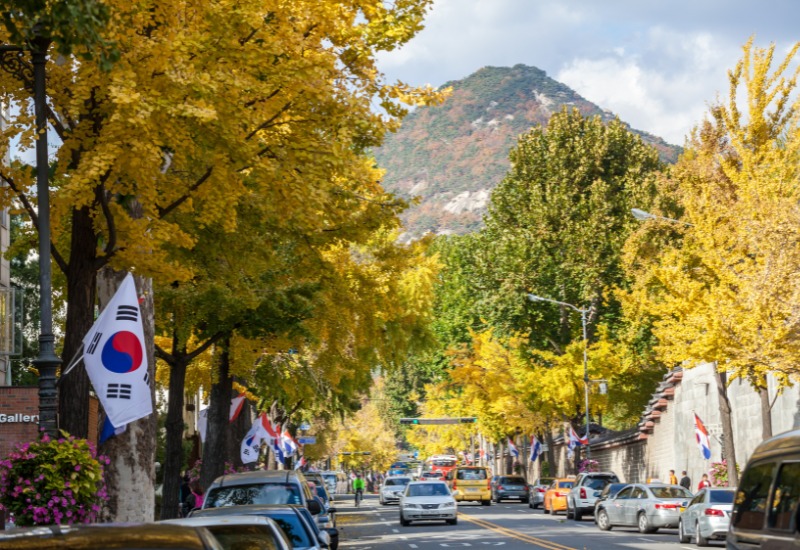 Quy trình nộp hồ sơ visa Hàn Quốc