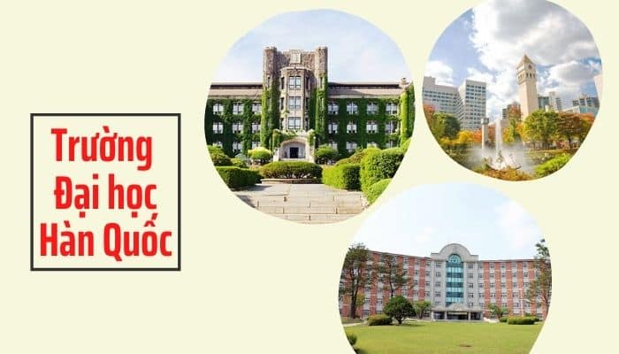 Tư vấn và chọn trường